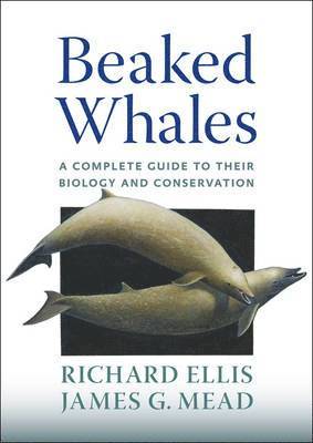 Beaked Whales 1