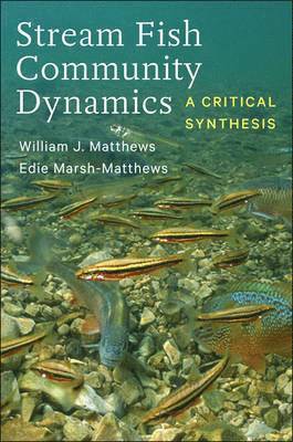 William J. Matthews, Edie Marsh-Matthews - Stream Fish Community Dynamics, Inbunden