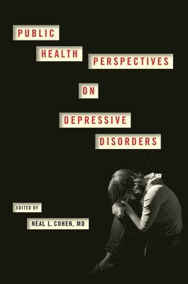 bokomslag Public Health Perspectives on Depressive Disorders