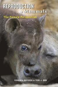 bokomslag Reproduction in Mammals