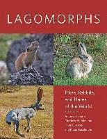 bokomslag Lagomorphs