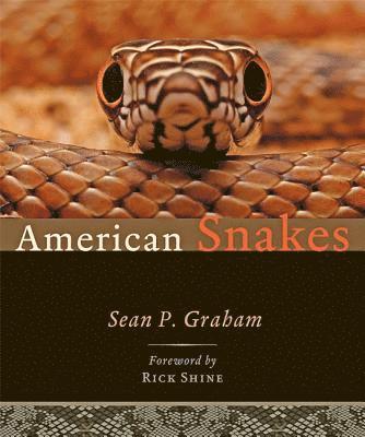 Sean P. Graham - American Snakes, Inbunden