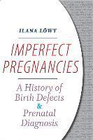 bokomslag Imperfect Pregnancies