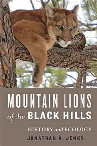 bokomslag Mountain Lions of the Black Hills