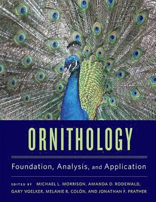 Michael L. Morrison, Amanda D. Rodewald, Gary Voelker, Melanie R. Colón, Jonathan F. Prather - Ornithology, Inbunden