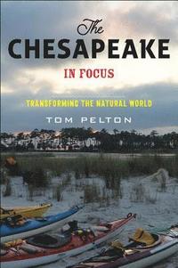 bokomslag Chesapeake in Focus