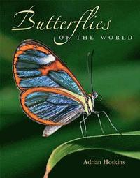 bokomslag Butterflies Of The World