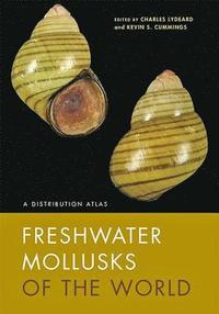 bokomslag Freshwater Mollusks of the World