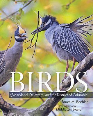 bokomslag Birds of Maryland, Delaware, and the District of Columbia