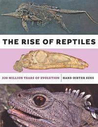 bokomslag The Rise of Reptiles