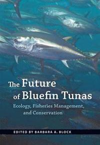 bokomslag The Future of Bluefin Tunas