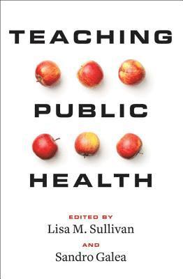 bokomslag Teaching Public Health