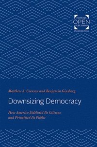 bokomslag Downsizing Democracy