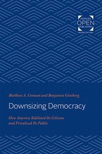 bokomslag Downsizing Democracy