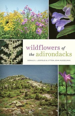 Donald J. Leopold, Lytton John Musselman - Wildflowers of the Adirondacks, Häftad