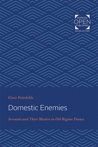 bokomslag Domestic Enemies
