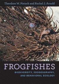 bokomslag Frogfishes
