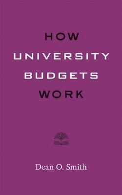 bokomslag How University Budgets Work