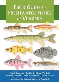 bokomslag Field Guide to Freshwater Fishes of Virginia
