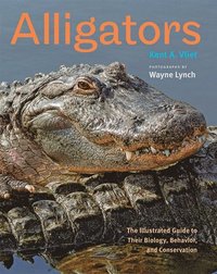 bokomslag Alligators