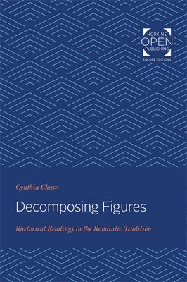 bokomslag Decomposing Figures