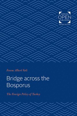 Bridge across the Bosporus 1