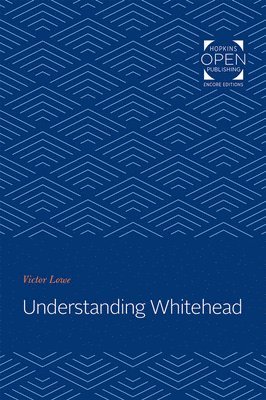 bokomslag Understanding Whitehead