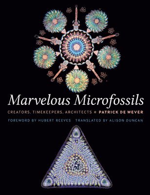 bokomslag Marvelous Microfossils