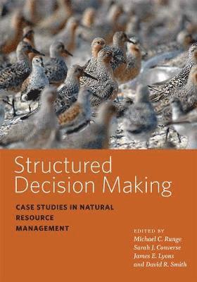 bokomslag Structured Decision Making