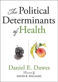 bokomslag Political Determinants of Health