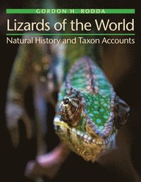 bokomslag Lizards of the World