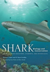 bokomslag Shark Biology and Conservation