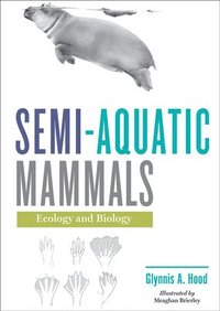 bokomslag Semi-aquatic Mammals