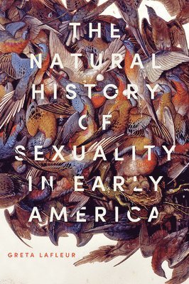Greta LaFleur - Natural History of Sexuality in Early America, Häftad