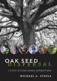 bokomslag Oak Seed Dispersal