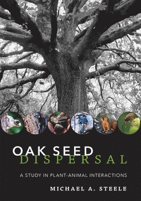 Oak Seed Dispersal 1