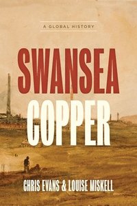 bokomslag Swansea Copper