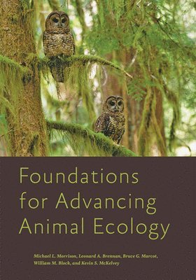 Michael L. Morrison, Leonard A. Brennan, Bruce G. Marcot, William M. Block, Kevin S. McKelvey - Foundations for Advancing Animal Ecology, Inbunden