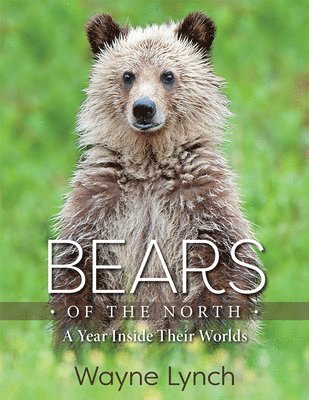 Wayne Lynch - Bears of the North, Inbunden