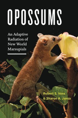 Robert S. Voss, Sharon A. Jansa, Robert S. (American Museum of Natural History) Voss, Sharon A. (University of Minnesota) Jansa - Opossums, Inbunden
