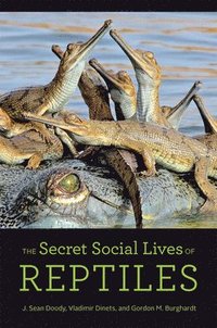 bokomslag The Secret Social Lives of Reptiles