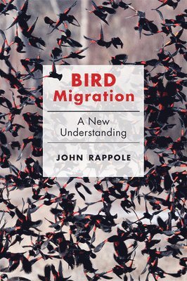 John H. Rappole - Bird Migration, Inbunden