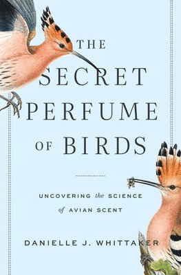 bokomslag Secret Perfume of Birds