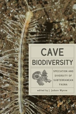 bokomslag Cave Biodiversity