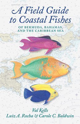 Valerie A. Kells, Luiz A. Rocha, Carole C. Baldwin - Field Guide to Coastal Fishes of Bermuda, Bahamas, and the Caribbean Sea, Häftad