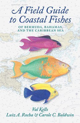 A Field Guide to Coastal Fishes of Bermuda, Bahamas, and the Caribbean Sea 1