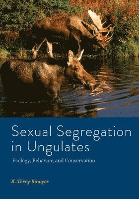 bokomslag Sexual Segregation in Ungulates