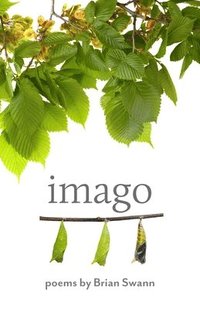 bokomslag Imago