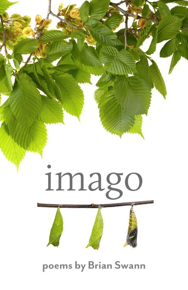 bokomslag Imago