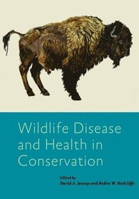 bokomslag Wildlife Disease and Health in Conservation